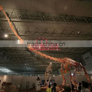 Large Animated Skeleton Model Of Dinosaur thumbnail-1