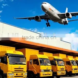 Professional Shipping Forwarder Export From China to Worldwide thumbnail-1