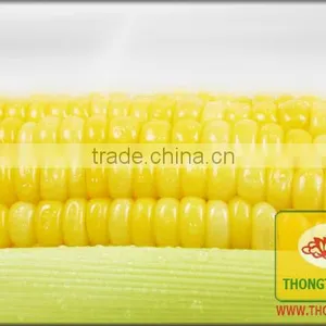 Canned Sweet Corn thumbnail-1