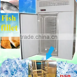 IQF Freezer for Fish Fillet Freezing in 2hours thumbnail-1