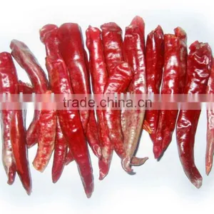 Wangdu Chilli thumbnail-1