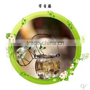 Small Home Decorative Hanging Hydroponics Flower Pots Glass Vase thumbnail-1