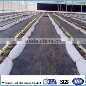 PP Nonwoven Weed Barrier Ground Cover Fabric thumbnail-1