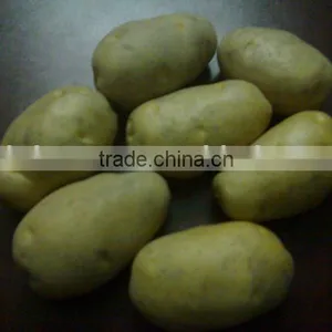 FRESH POTATO thumbnail-1