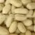 Peanut Exporters thumbnail-3