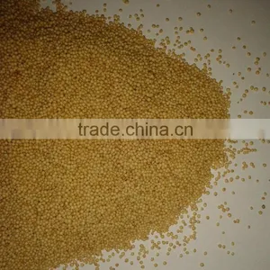 Amaranth Seed New Crop 2016 thumbnail-1