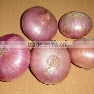 Price of Onions thumbnail-1