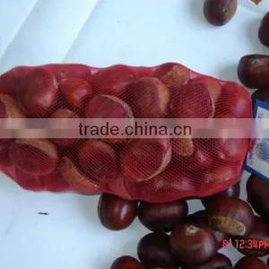 Chestnut thumbnail-1