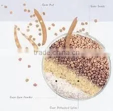 Guar Gum Wholesalers. thumbnail-1