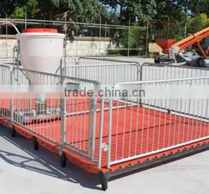 Piggery Gestation Pens/farrowing Crates/nursery Pens|automatic Pig Farming Equipment thumbnail-3
