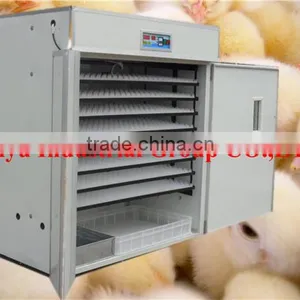 TAIYU Chicken Egg Incubators for Sale Has Agent in Nigeria, Kenya Uganda and so on thumbnail-1