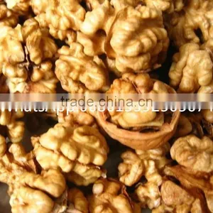 ISO Approved Peanut Oil Press Machine / Cold Press Oil Machine for Hot Sale thumbnail-5