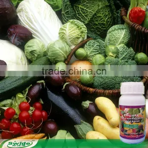 Seaweed Extract Fertilizer for Vegetables thumbnail-1