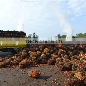 New Generation High Production Zhengzhou Qi'e Palm Oil Processing Equipment With CE thumbnail-1