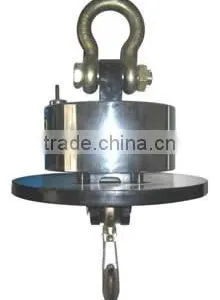 500-2000kg Crane Scale Rs232 or Usb thumbnail-3