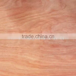 Rotary Cut Grade a b c No Pin 0.28mm 4'x8' Okoume Face Veneer for India Plywood thumbnail-6