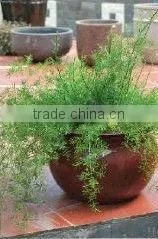 Vietnam Handmade Indoor Flower Pots and Planters thumbnail-4