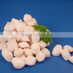 Scallop thumbnail-2
