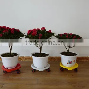 Moving Plastic Plant Dolly With Wheels thumbnail-3