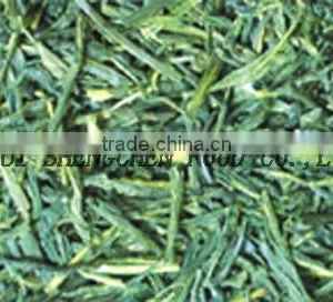 Sencha-Steamed Green Tea-Fresh thumbnail-1