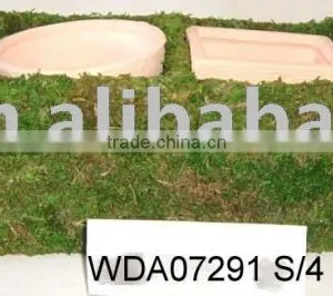 Moss With Ceramic Pot thumbnail-1