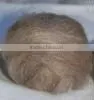 Dehaired Chinese Brown Cashmere Fiber thumbnail-1