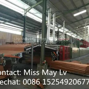 Wood Veneer Roller Conveyor Dryer Machine thumbnail-1