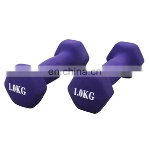 Workout Dumbbells Custom Color Plastic Coated Small Dumbbell Dip Plastic Dumbbells thumbnail-5