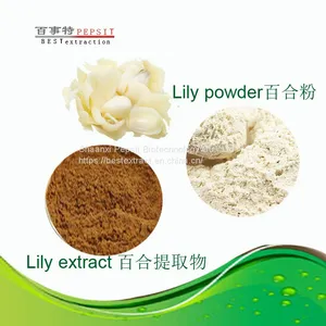 Lily thumbnail-1