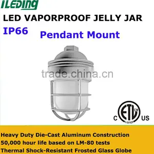 Glass Globe Cast Guard With Pendant Mount Bracket LED Vaporproof Jelly Jar thumbnail-1