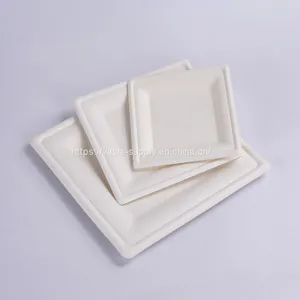 Chinese Supplier Eco Products Sugarcane Pulp Round Rectangular Compostable Plates 6 Inch thumbnail-1