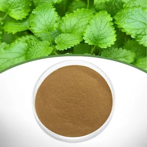 Lemon Balm Extract thumbnail-1
