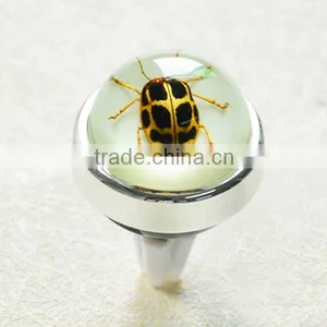 Insect Resin Vent Clip Car Air Fresher for Car Decoration thumbnail-1