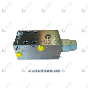 Spare Part 803087155 for XCMG Crane Genuine OEM thumbnail-2