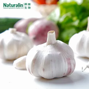 Garlic Extract thumbnail-5