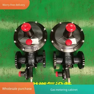 Cng Pressure Reduction Skid, Natural Gas Pressure Regulation and Metering Device, Gas Pressure Regulation Cabinet, Uninterrupted Gas Supply Metering Cabinet, Hongyi Technology thumbnail-2