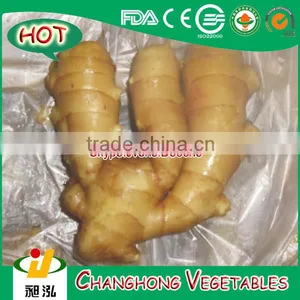 2016 New Fresh Ginger For Sale thumbnail-1