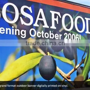 Custom Size Design PVC Vinyl Flex Polyester Fabric Printed Advertising Large Format Banner thumbnail-3