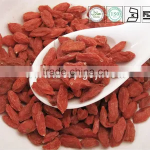 Red Goji Berries thumbnail-1