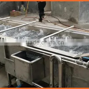 Aquatic Products Vegetable Cleaning Machine for Sale thumbnail-6