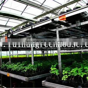 Commercial -Agricultural Polycarbonate Greenhouse thumbnail-6