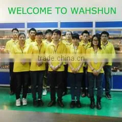 Dongguan Wah Shun Electric Technology Co., Ltd. company overview - view 2 thumbnail