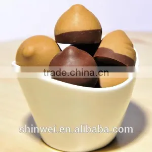CD200 Chocolate Moulding Line thumbnail-3