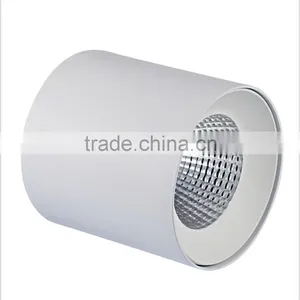 Factory Price High Quality High CRI 25W Led Surface Mounted Downlight thumbnail-1