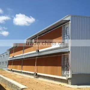Steel Structure Poultry House QDXR14C-02F-01 thumbnail-2