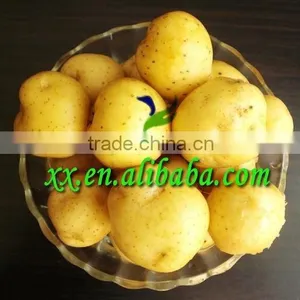 Fresh/frozen Potato thumbnail-1