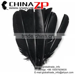 CHINAZP Cheapest Plumage Natural Dyed Black Turkey Pointers Quill Large Feathers Pens for Sale thumbnail-1