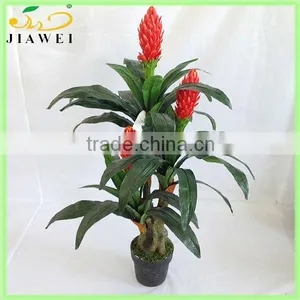 Flowering Decorative Indoor Trees thumbnail-1