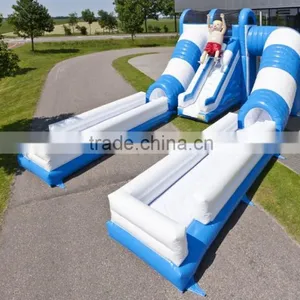 Color Customized Inflatable Water or Dry Slide / Special Design Inflatable Slide for Summer thumbnail-1