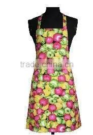 2013 Colorful Apron thumbnail-1